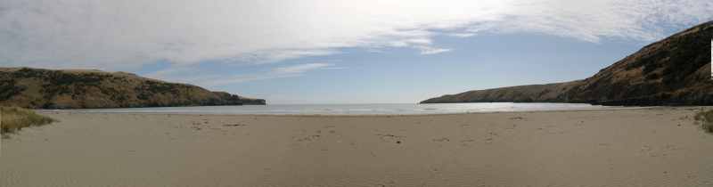 Nieuw-Zeeland 2011 - 2119